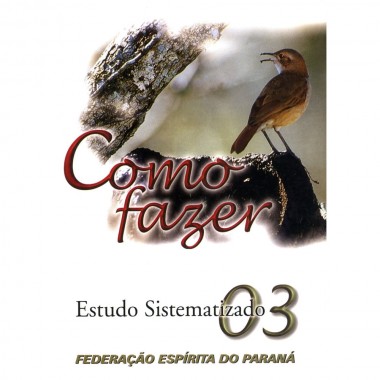 COMO FAZER 03 - ESTUDO SISTEMATIZADO