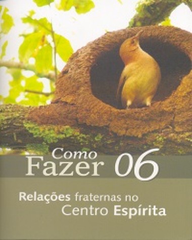 COMO FAZER 06 - RELACOES FRATERNAS NO CENTRO ESPIRITA